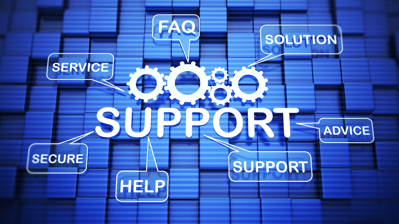 SAP AMS Support Services